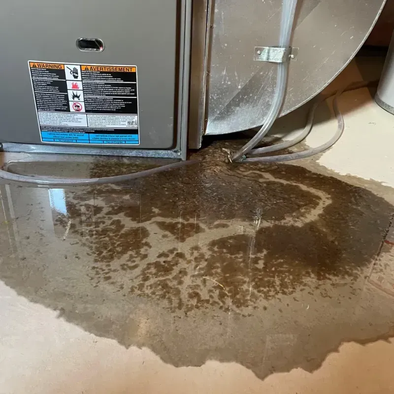 Appliance Leak Cleanup in Bladenboro, NC